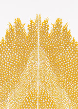 וולקנו כפול אוקר כסף