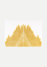 וולקנו כפול אוקר כסף