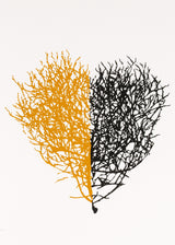 לב סירה שחור אוקר לבן