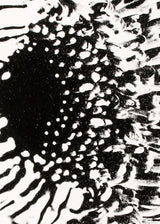 אבסטרקט שחור