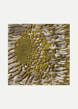 אבסטרקט אוקר