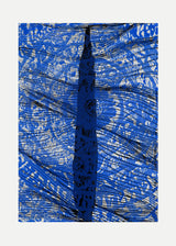 ברוש 1 כחול רוזטה כחול