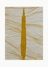 ברוש 1 אוקר רשת כסף