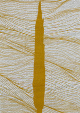 ברוש 1 אוקר רשת כסף