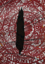 ברוש 2 שחור רוזטה בורדו