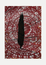 ברוש 2 שחור רוזטה בורדו