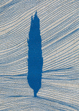 ברוש 2 כחול רשת כסף