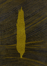 ברוש 2 אוקר רשת כסף חום