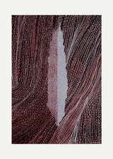 ברוש 3 לבן שביל שחור בורדו