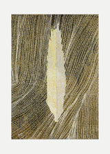 ברוש 3 לבן שביל אוקר מוזהב