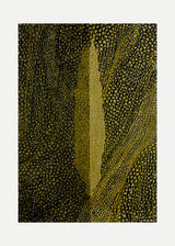 ברוש 3 אוקר שביל שחור אוקר