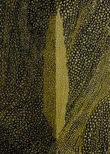 ברוש 3 אוקר שביל שחור אוקר