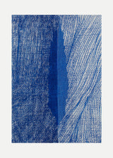 ברוש 3 כחול רשת כחול