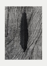 ברוש 3 שחור רשת שחור