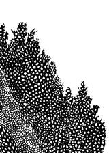 וולקנו ימין שחור לבן