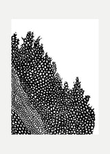 וולקנו ימין שחור לבן