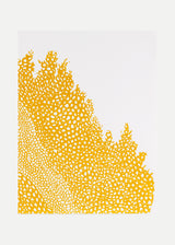 וולקנו ימין אוקר