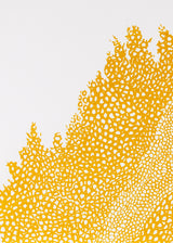 וולקנו שמאל אוקר