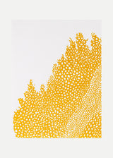 וולקנו שמאל אוקר