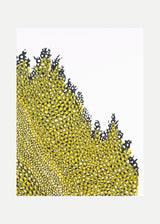 וולקנו ימין שחור אוקר