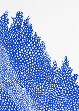 וולקנו ימין כחול