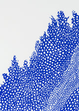 וולקנו שמאל כחול