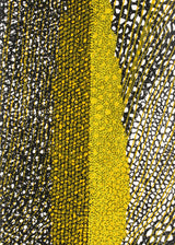 ברוש 3 מאורך אוקר-שביל שחור