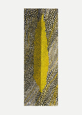 ברוש 3 מאורך אוקר-שביל שחור