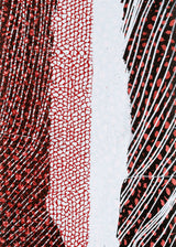 ברוש 3 מאורך לבן-שביל שחור בורדו