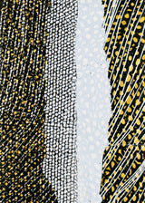 ברוש 3 מאורך לבן-שביל שחור אוקר