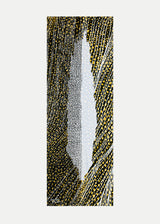 ברוש 3 מאורך לבן-שביל שחור אוקר