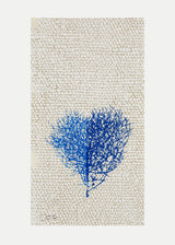 לב סירה כחול כסף