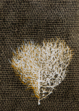 לב סירה לבן אוקר כסף חום