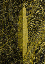 ברוש 3 אוקר שביל שחור אוקר