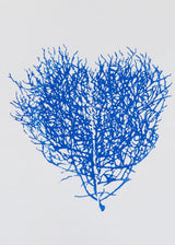 לב סירה כחול - קטן