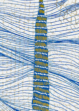 ברוש 1 כחול רשת כסף