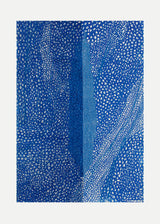 ברוש 3 כחול שביל כחול