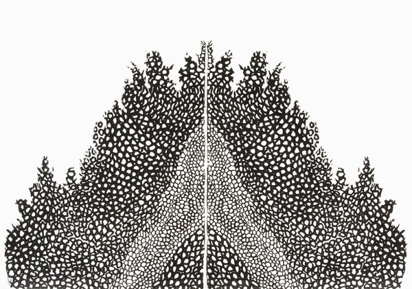 אמנות ישראלית למכירה